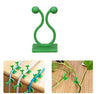 Tree Clip Plant Wall Climbing Fixing Clips, Reusable Self Adhesive Plant Support Garden Twist Clips (30 PCS)