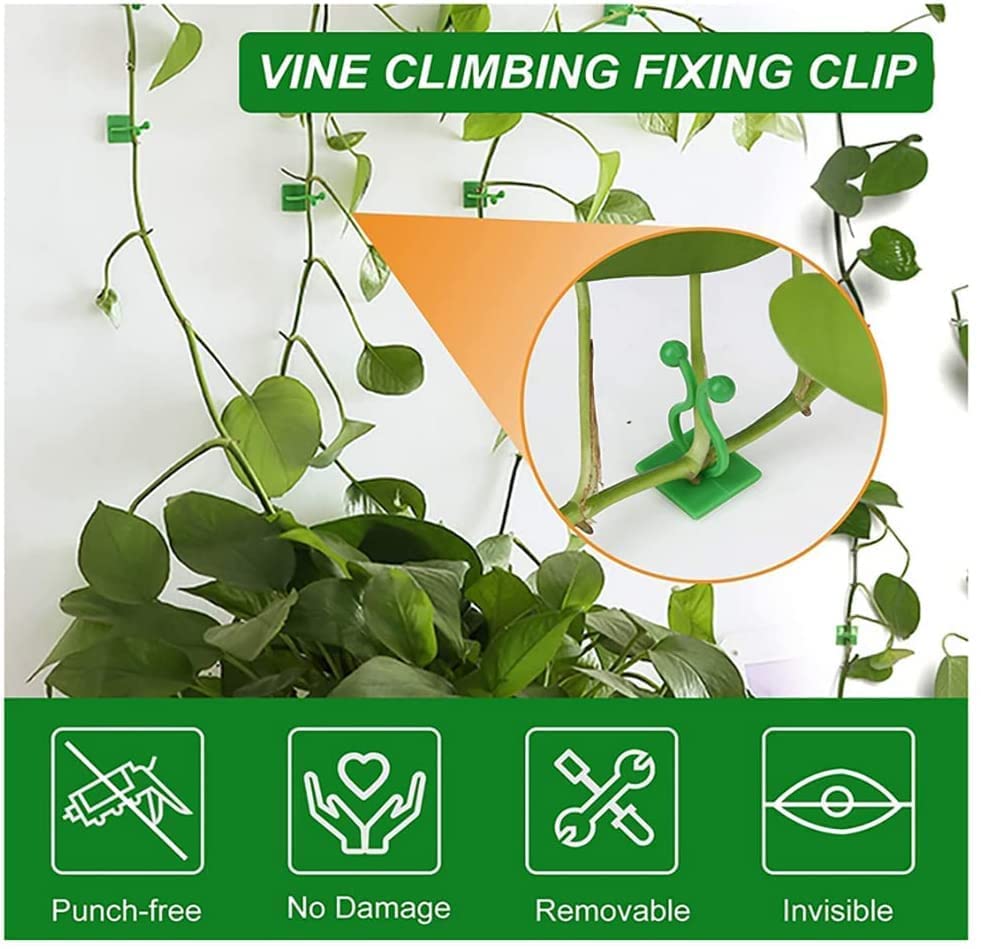 Tree Clip Plant Wall Climbing Fixing Clips, Reusable Self Adhesive Plant Support Garden Twist Clips (30 PCS)