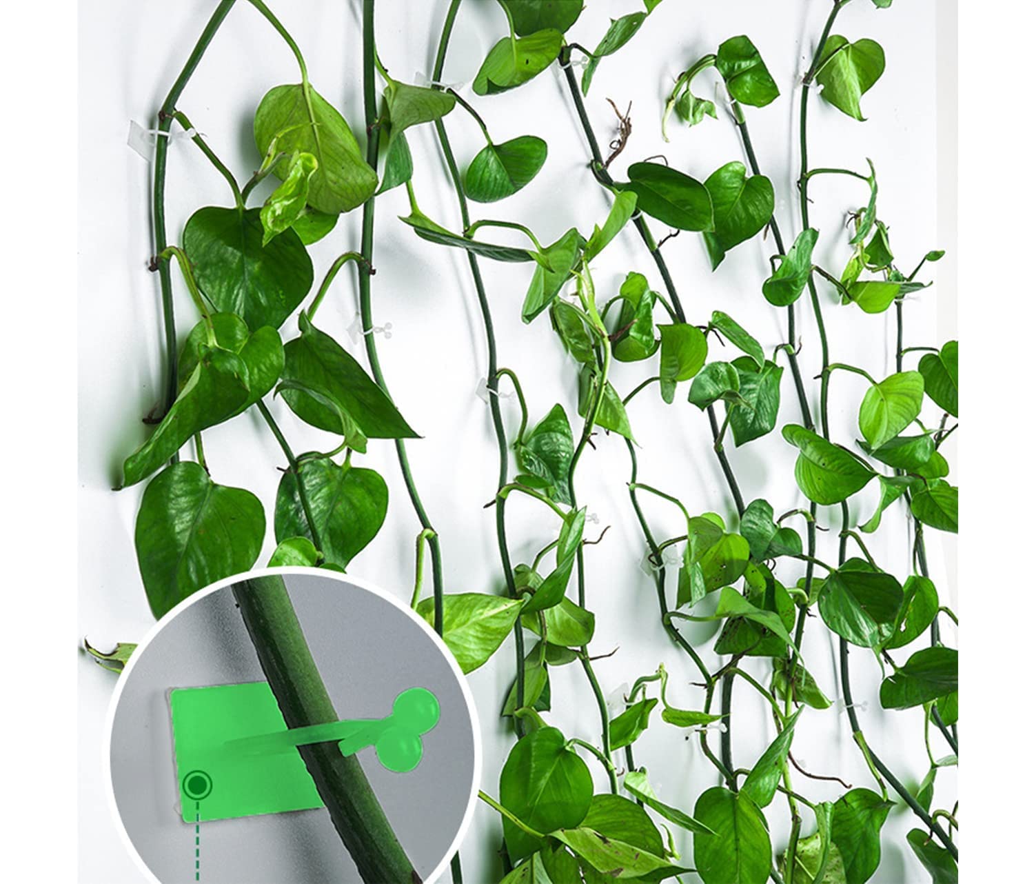 Tree Clip Plant Wall Climbing Fixing Clips, Reusable Self Adhesive Plant Support Garden Twist Clips (30 PCS)